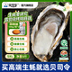 貝司令鮮活乳山生態(tài)生蠔5XL 凈重9斤 14-18只 生鮮源頭直發(fā)露營(yíng)聚會(huì )