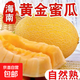 海南黃金蜜瓜哈密瓜9斤新鮮水果當季脆甜網(wǎng)紋瓜香瓜黃河蜜瓜包郵 香甜黃金蜜瓜帶箱3-4斤【凈重2.5-3斤】