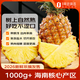 趣嘗鮮樹(shù)上熟金鉆鳳梨2粒裝 單果1000g+ 4.5斤 1號會(huì )員店 源頭直發(fā)