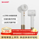 夏普【夏普小浪花】家用高速吹風(fēng)機大功率速干電吹風(fēng)低噪音吹風(fēng)筒送禮女朋友等離子護發(fā)IB-RP45C-C