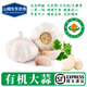 山姆東東農場(chǎng)【有機】大蒜  烹飪有機調味食材生鮮蔬菜 精選新干蒜頭多瓣蒜 2160g【有機大蒜家庭囤貨】