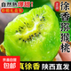 陜西徐香獼猴桃新鮮大果綠心奇異果禮盒當季水果批發(fā) 18枚60-70g