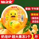 仙之寶奶龍超大杯果凍兒童零食 500g黃桃味 0脂解饞抖音款網(wǎng)紅生日禮物