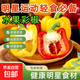 彩椒五彩甜椒水果圓椒不辣太空椒燈籠椒新鮮可即食減脂蔬菜 山東彩椒紅+黃4斤凈重3.8斤
