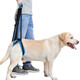 高齡狗狗老犬步行輔助帶狗狗后腿肢關(guān)節保護帶受傷殘疾犬助力背帶后腿受傷保護狗狗助行帶上車(chē)上Dog樓用 藍色（母狗公狗通用雙腿款） XL