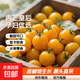夏日陽(yáng)光小番茄黃色圣女果千禧櫻桃水果小柿子 5斤