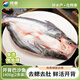 翔泰海南開(kāi)背巴沙魚(yú)1400g/2條龍利魚(yú)免處理 生鮮 魚(yú)類(lèi) 海鮮水產(chǎn)