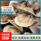 產(chǎn)地直發(fā)新鮮無(wú)沙蛤蜊鮮活超大野生美貝鮮活花蛤文蛤水產(chǎn)貝類(lèi)鮮活 5斤裝(12-20只/斤) 2500g