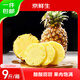 京鮮生云南版納鳳梨凈重9斤單果600g+新鮮水果生鮮 源頭直發(fā)