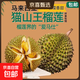 【京東冷鏈 】貓山王榴蓮馬來(lái)西亞進(jìn)口D197液氮整果 凈重4-4.5斤
