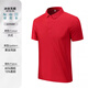 碧連天冰絲速干polo衫工作服定制比亞迪4S店公司銷(xiāo)售工衣服裝t恤印logo 【冰絲無(wú)痕】大紅色-男款 5XL