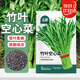 北蔬 空心菜種子苗小葉青梗雍菜通心菜蔬菜種籽 竹葉空心菜種子200粒