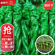 大禹美人椒種子辣椒苗帶土秧苗樹(shù)苗摘不敗春季陽(yáng)臺盆栽苗家庭種 螺絲椒苗辣椒苗帶土幼苗 6棵