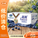 君樂(lè )寶（JUNLEBAO）萊茜藍莓風(fēng)味發(fā)酵乳酸奶 藍莓酸奶飲品300ml*12盒 禮盒裝