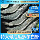 GUO LIAN國聯(lián)水產(chǎn)南美白對蝦沙特進(jìn)口鹽凍蝦厄瓜多爾加大號活蝦急凍蝦類(lèi) 【進(jìn)口】厄瓜多爾氣凍大蝦30/40 3.6斤(凈重)