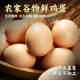 耕果妙農家鮮雞蛋20枚2斤新鮮雞蛋精選雞蛋 源頭直發(fā) 包郵