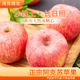 新疆阿克蘇冰糖心蘋(píng)果整箱脆甜多汁紅富士蘋(píng)果新鮮水果 【帶箱9斤凈重8斤】70-80mm【實(shí)惠爽口】