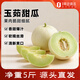 趣嘗鮮海南玉菇甜瓜 2枚 凈重5斤1號店店源頭直發(fā) 一件包郵