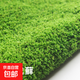 高端草皮鮮活苔蘚微景觀(guān)植物盆景盆栽水陸缸假山造景材料短絨青苔 特級短絨蘚(13*8cm)5片