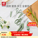 雙立人（ZWILLING）剪刀套裝廚房家用多功能剪子3件套輔食剪不銹鋼便攜廚房剪 薄荷綠-剪刀3件套