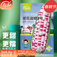 壽禾 彩甜糯玉米種子批發(fā)甜玉米類(lèi)冬春季東北山東蔬菜種籽種孑 密甜糯3號玉米種子100g