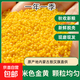內蒙敖漢黃小米 金苗K1 油小米新小米年貨送禮小米粥搭配大米 赤峰黃小米5斤