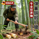 創(chuàng  )京懿選德國挖春筍樹(shù)樁鋤頭彈簧鋼板手工鍛打兩用專(zhuān)用洋鎬挖硬土挖筍竹筍 挖筍雙頭鋤【大號約23斤】 14米木柄