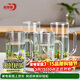 青蘋(píng)果帶把水杯茶杯 扎啤杯啤酒杯 無(wú)鉛玻璃杯可樂(lè )杯飲料杯4只裝320ml