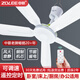 中聯吊扇宿舍家用臥室床上靜音蚊帳五葉大風力客廳小型吊式電風扇 五葉直徑70厘米標配 無規格