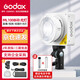 神牛（Godox）ML100Bi攝影燈雙色溫可調便攜夜拍燈人像補光燈戶(hù)外控制室電影視頻攝像燈  ML100Bi【官方標配】