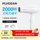 飛科（FLYCO）電吹風(fēng)機家用發(fā)廊大功率2000W速干恒溫便攜可折疊白色FH6232