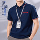 雷薩狼冰絲t恤工作服短袖定制企業(yè)公司團體翻領(lǐng)polo衫男夏季工裝印logo 【冰絲條紋領(lǐng)】藏青 XL