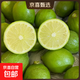 [果園現發(fā)]廣東香水檸檬新鮮香水檸檬檸檬茶專(zhuān)用產(chǎn)地源頭京東直發(fā) （帶箱1斤 凈重0.8斤）香水檸檬單果凈重70g起