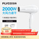 飛科（FLYCO）電吹風(fēng)機家用發(fā)廊大功率2000W速干恒溫便攜可折疊白色FH6232