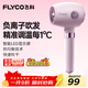 飛科（FLYCO）電吹風(fēng)機家用宿舍用吹風(fēng)筒便攜式速干護發(fā)負離子不傷發(fā)LED智能溫度顯示送禮新年情人節禮物 FH6368