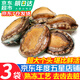 優(yōu)牧冠 冷凍大鮑魚(yú) 10頭鮑 堪比活鮑 9分熟凍鎖鮮 年貨送禮 3袋【三去免處理】熟凍鎖鮮10只裝凈重500g*3