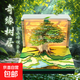 浪漫樹(shù)屋創(chuàng  )意紙雕手撕日歷3d立體便簽本送女生禮物情人節生日桌面擺件裝飾品 奇緣樹(shù)居-帶燈光-2026年中文周歷
