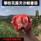 四川攀枝花露天沙瓤大粉番茄應季蔬菜新鮮農家自然熟西紅柿老味道 沙瓤番茄中大果 5斤 發(fā)順豐