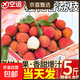 海南桂花香荔枝5斤裝頭茬老樹(shù)大果當季新鮮水果現摘整箱包郵2026 桂花香荔枝1斤（凈重1斤）單果15-18g