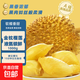 泰國金枕榴蓮A果液氮冷凍老樹(shù)榴蓮果肉凈重1000g/袋樹(shù)熟糖度25-30 2袋（實(shí)惠裝，A果，推薦）
