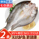 優(yōu)牧冠 新鮮冷凍海鱸魚(yú)/河鱸魚(yú) 紅鼓魚(yú)隨機 去鱗去鰓去內臟 三去免處理 【無(wú)抗生素】400-500g*2條裝（凈重）開(kāi)背免處理】