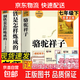 人教版駱駝祥子和鋼鐵是怎樣煉成的新升級版正版書(shū)原著(zhù)人民教育出版社老舍海底兩萬(wàn)里七年級下冊必讀書(shū)名著(zhù)課外書(shū)籍初中生語(yǔ)文配套閱讀練完整版無(wú)刪減新版 【人教版-七下必讀】駱駝祥子+鋼鐵是怎樣煉成的