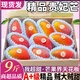 三萌果蔬芒果貴妃芒【多地次日達】當季新鮮辣椒甜心彩虹小芒果水果 5斤精選果【單果100-150g】?jì)?.5斤