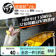lurefans大河VIB響尾蛇路亞假餌 R30/35/R50遠投路亞餌鐵板翹嘴魚(yú)鱸魚(yú)亮片 混色裝 50mm【13.5g】5只裝