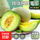 正宗海南網(wǎng)紋蜜瓜新鮮冰淇淋甜哈密香瓜現摘水果孕婦香甜整箱包郵 甄選網(wǎng)紋蜜瓜帶箱3-4斤【凈重2.5-3斤】