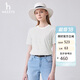 哈吉斯（HAZZYS）女裝 春季女士圓領(lǐng)文藝細條紋T恤衫ASTSE0BBE68