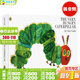 好餓的毛毛蟲(chóng) The Very Hungry Caterpillar 英文原版繪本 紙板書(shū) 廖彩杏書(shū)單 兒童早教啟蒙英語(yǔ)讀物紙板洞洞書(shū) 艾瑞卡爾爺爺