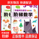 階梯數學(xué)3-4-5-6歲幼兒園大班中班小班教材幼小銜接入學(xué)準備幼升小學(xué)前班 全腦開(kāi)發(fā)寫(xiě)數認數字 階梯數學(xué)5-6歲全2冊 無(wú)規格