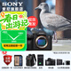 索尼（SONY）Alpha 7 V 全畫(huà)幅微單相機 a7m5 約30張/秒高速連拍 S35模式4K（ILCE-7M5/A7M5）注冊發(fā)貨享紅包 單機身（含雙肩包） 官方標配
