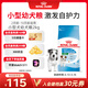 皇家狗糧 幼犬狗糧 寵物 小型犬 MIJ31 全價(jià)犬糧 2-10月 2KG